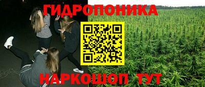 прущие крисы Гусь-Хрустальный