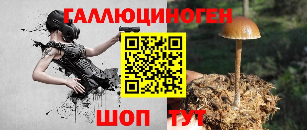 Мурманск  Псилоцибиновые грибы мицелий  Галлюциногенные грибы Psilocybine cubensis  Вход с VPN 