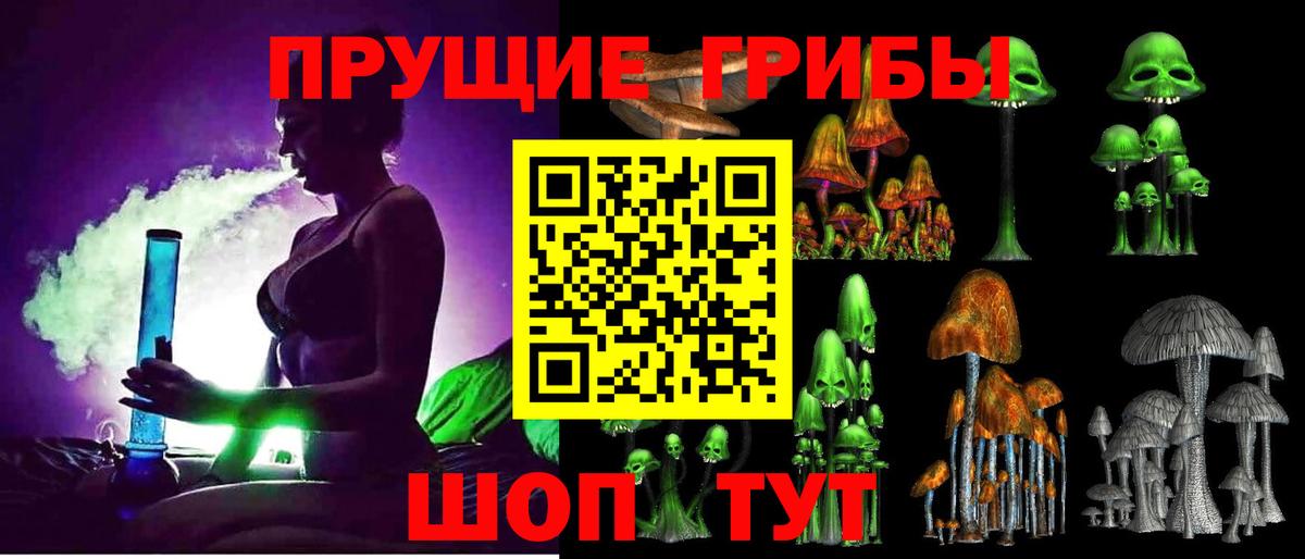 Галлюциногенные грибы Psilocybine cubensis Мурманск